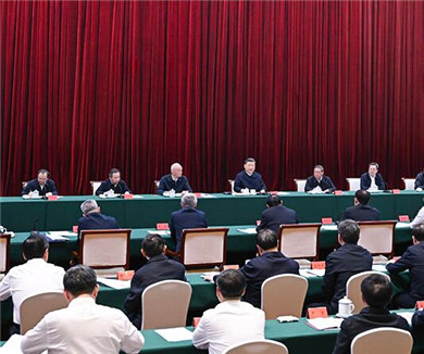 习近平主持召开进一步推动长江经济带高质量发展座谈会
