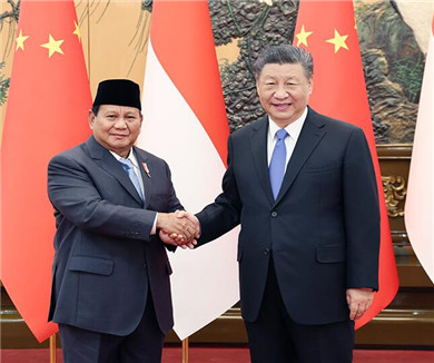 习近平同印度尼西亚当选总统会谈