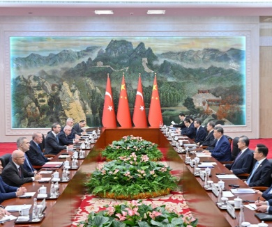 习近平会见土耳其总统