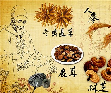 04仁心巨典（下）