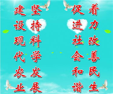 加强党的建设是贯彻科学发展观的保证