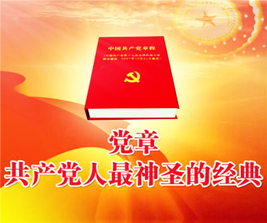 如何理解中国共产党的组织原则？