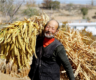 告别田赋——废止中华人民共和国农业税条例