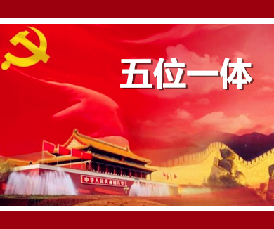 孟鑫：中国特色社会主义总体布局——五位一体