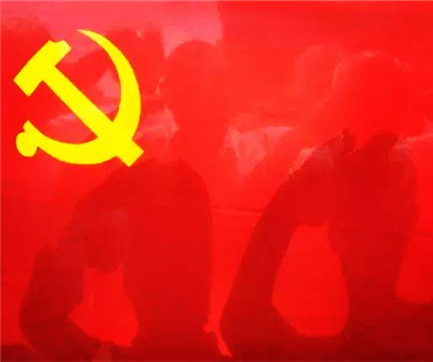 《中国共产党党组工作条例（试行）》解读（要点学习）06