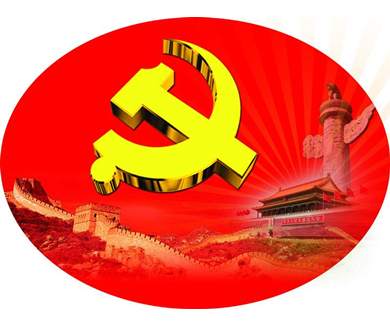 《中国共产党党组工作条例（试行）》解读（要点学习）08
