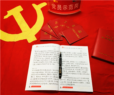 《中国共产党党组工作条例（试行）》解读（要点学习）10