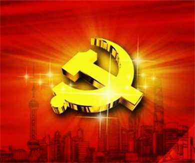 《中国共产党党组工作条例（试行）》解读（要点学习）11