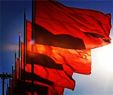 《中国共产党党组工作条例（试行）》解读（要点学习）12