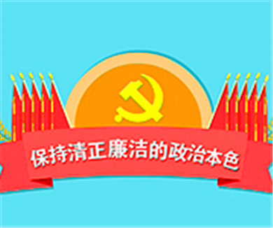 《中国共产党党组工作条例（试行）》解读（要点学习）13