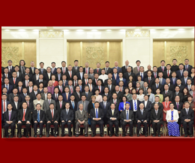 习近平会见第九届世界华侨华人社团联谊大会和中华海外联谊会五届一次理事大会代表