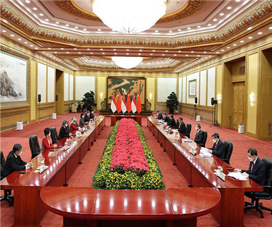 习近平会见新加坡总统