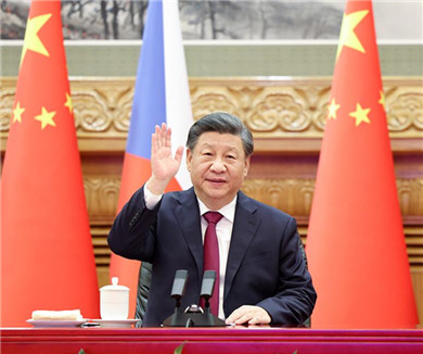 习近平同捷克总统举行视频会晤