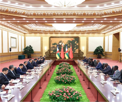 习近平会见中非总统