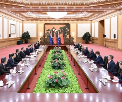 习近平会见新西兰总理